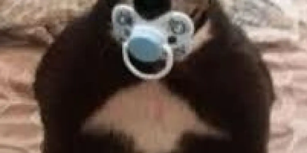 Imagem do grupo de WhatsApp 𝙉𝙚𝙩𝙬𝙤𝙧𝙠𝙞𝙣𝙜