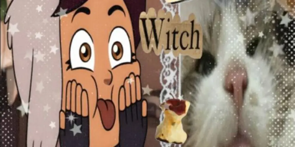 Imagem do grupo de WhatsApp ✭𝖂𝖊𝖇 𝖆𝖒𝖎𝖟𝖆𝖉𝖊 𝖔𝖚 𝖓𝖆𝖒𝖔𝖗𝖔 ✭