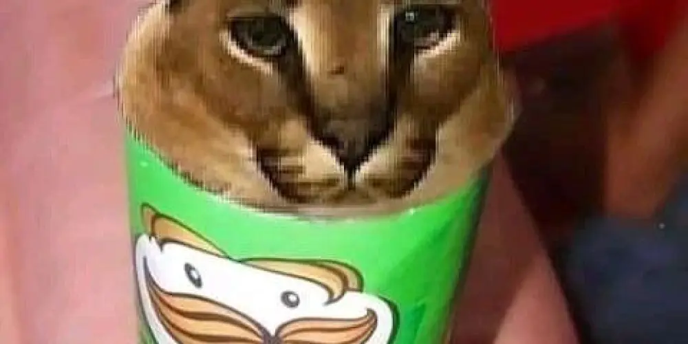 Imagem do grupo de WhatsApp ⚜️𝓐𝓶𝓲𝔃𝓪𝓭𝓮 𝓮 𝔃𝓾𝓮𝓻𝓲𝓪⚜️