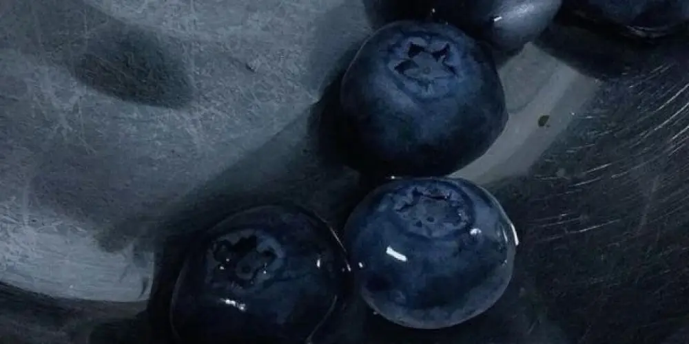 Imagem do grupo de WhatsApp 🜙 𝑅𝐸𝐶𝐸𝑃𝐶̧𝐴̃𝑂 🫐