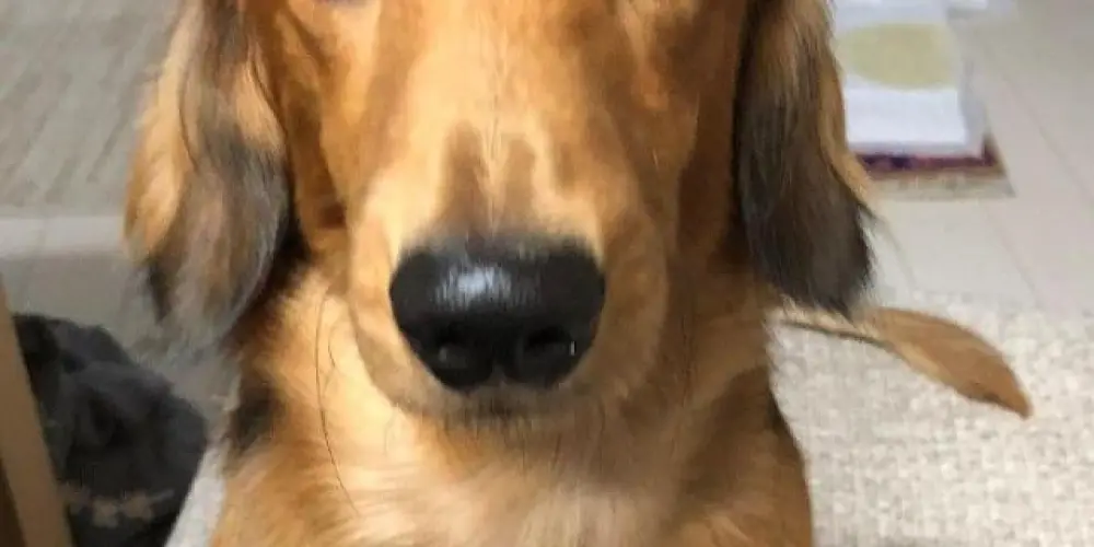 Imagem do grupo de WhatsApp 𝕽𝖆𝖕𝖆𝖗𝖎𝖌𝖆💃