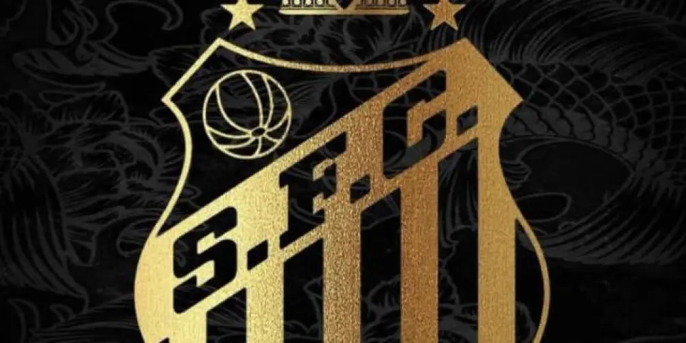 Imagem do grupo de WhatsApp 𝙎𝙖𝙣𝙩𝙤𝙨 𝙁𝘾 | 𝙉𝙖𝙘̧𝙖̃𝙤 𝘼𝙡𝙫𝙞𝙣𝙚𝙜𝙧𝙖 🤍🖤