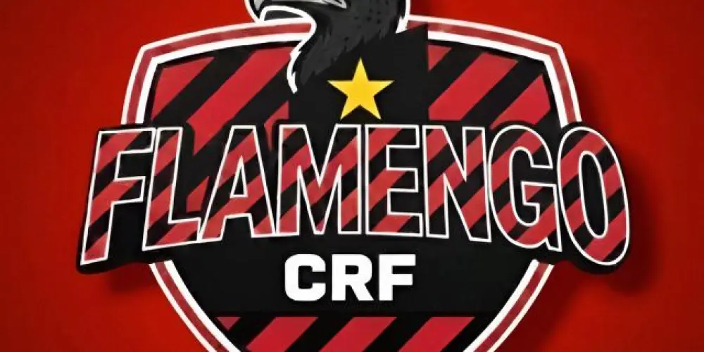 Imagem do grupo de WhatsApp 𝗙𝗹𝗮𝗺𝗲𝗻𝗴𝗼 ⎪ 𝗖𝗥𝗙 🔴⚫