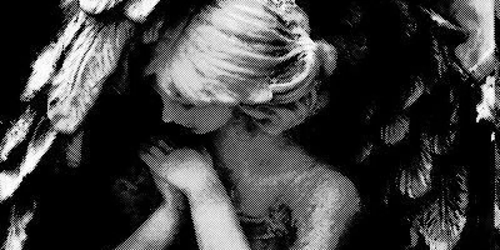 Imagem do grupo de WhatsApp 𝒜𝓅𝑜𝒸𝒶𝓁𝒾𝓅𝓈𝑒 𝓏𝑜𝓃𝑒