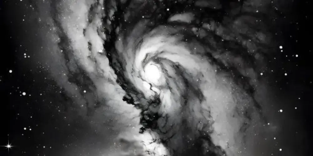 Imagem do grupo de WhatsApp 𝑻𝑯𝑬 𝑽𝑶𝑰𝑫