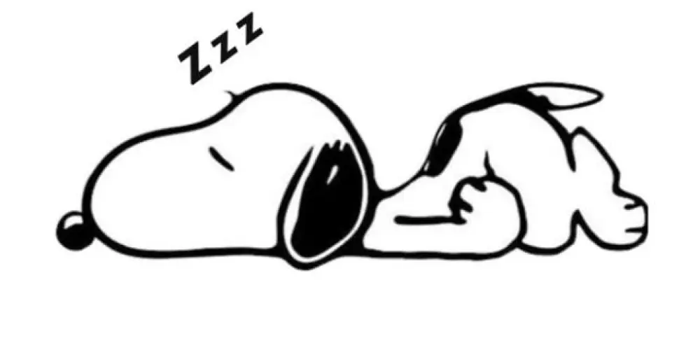 Imagem do grupo de WhatsApp 𝙳𝚘𝚒𝚍𝚎𝚛𝚊⚡