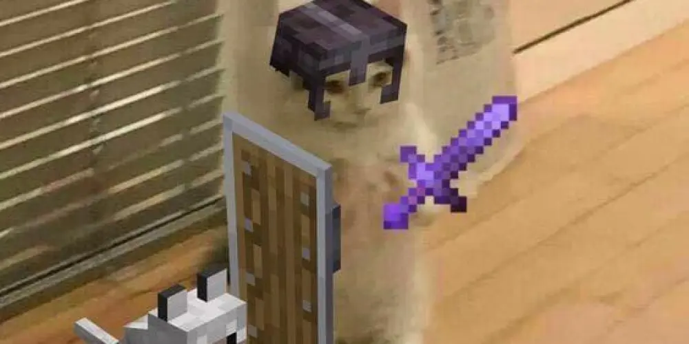 Imagem do grupo de WhatsApp 𝕬𝖓𝖙𝖎 𝖛𝖊𝖎𝖔   𝐒𝐨́ 𝐫𝐞𝐬𝐞𝐧𝐡𝐚 𝐤𝐫𝐥𝐡 ✍️🤣