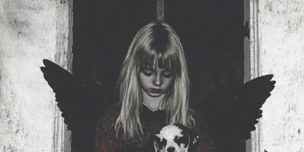 Imagem do grupo de WhatsApp 𝔰𝔥𝔦𝔡𝔢𝔪𝔬𝔫𝔩𝔶