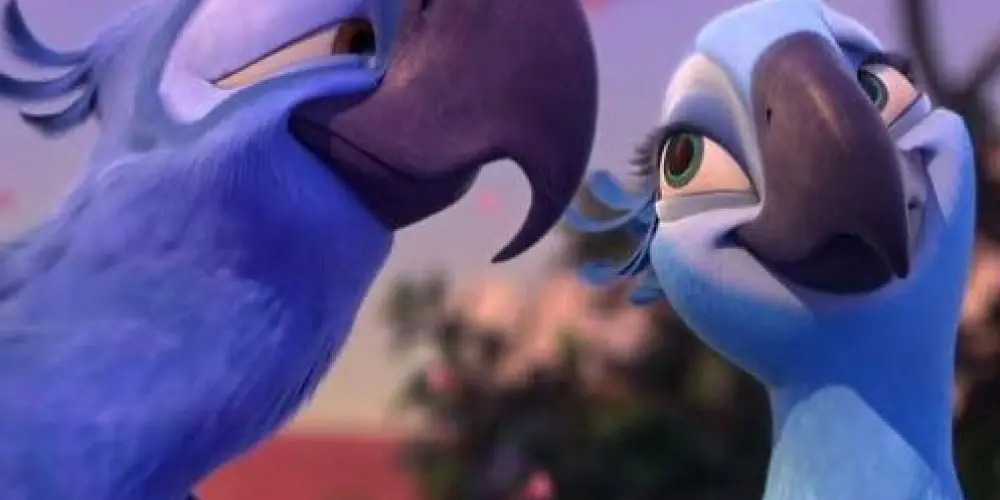 Imagem do grupo de WhatsApp 𝔸𝕄𝕀ℤ𝔸𝔻𝔼 & ℕ𝔸𝕄𝕆ℝ𝕆❤️