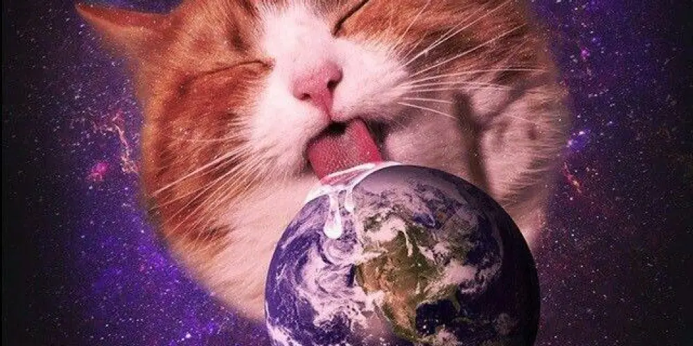 Imagem do grupo de WhatsApp 🧶𝑪𝒂𝒕 𝒖𝒏𝒊𝒗𝒆𝒓𝒔𝒆🧜🏻‍♀️