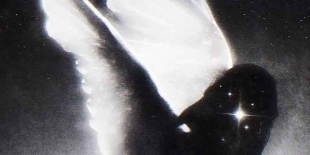 Imagem do grupo de WhatsApp 𝐔  `  𝐌𝚩ℛ𝜜      ཹ     𝐊  `  𝑰 𝐍  | #𝑆𝑊𝐴𝐺 🌑