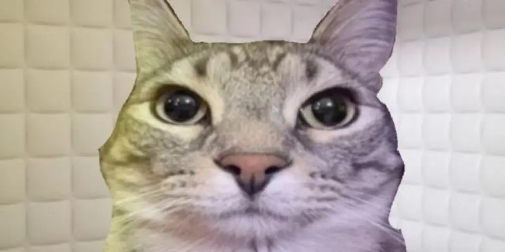 Imagem do grupo de WhatsApp 𝙰𝚁𝙼𝙰𝚁𝙸𝙾ˢ⋅ᴹ 🦇