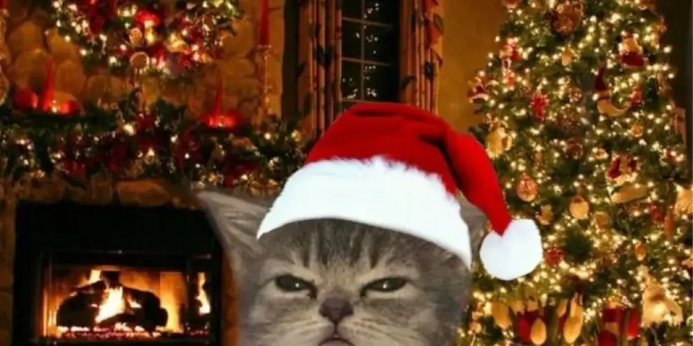 Imagem do grupo de WhatsApp 𝐒𝐨́ 𝐨𝐬 𝐭𝐨𝐩𝐬 𝟑