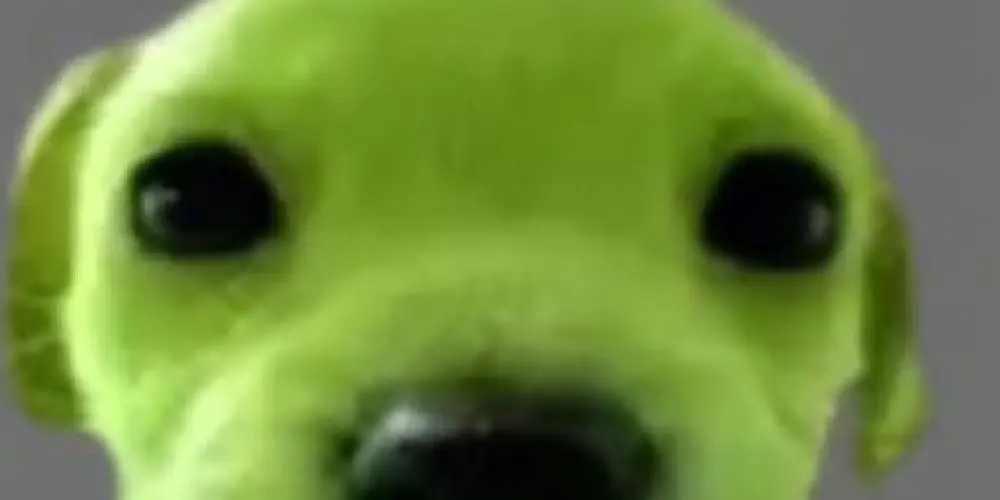 Imagem do grupo de WhatsApp 𝕺𝖘 𝕮𝖆𝖓𝖈𝖊𝖑𝖆𝖉𝖔𝖘⚠︎