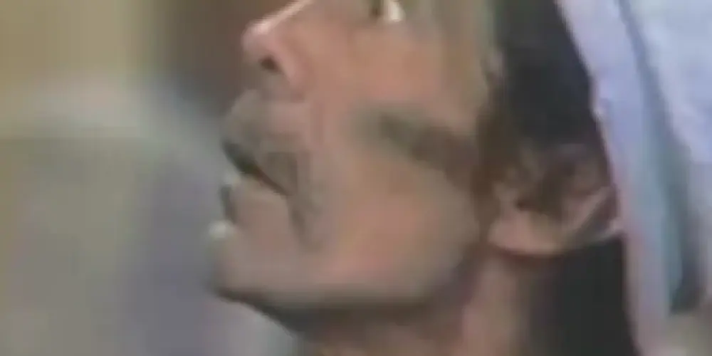 Imagem do grupo de WhatsApp ✨ ᴢᴏɴᴀ ᴅᴇ ᴄᴏɴꜰᴏʀᴛᴏ ✨