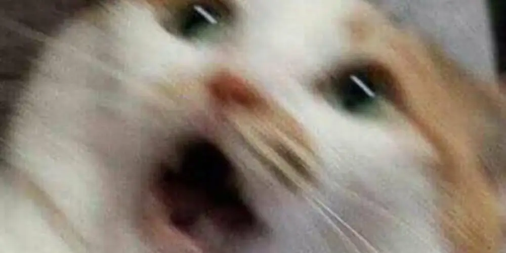 Imagem do grupo de WhatsApp 𝐒𝐇𝐈𝐓𝐏𝐎𝐒𝐓 𝐃𝐀 𝐙𝐔𝐄𝐈𝐑𝐀  (◠‿◕)👌