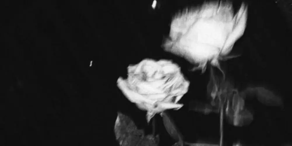 Imagem do grupo de WhatsApp ᯓ⊹𝚁𝚎𝚌𝚎𝚙𝚌̧𝚊̃𝚘⊹ᯓ