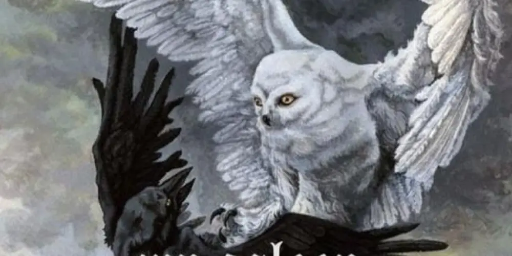 Imagem do grupo de WhatsApp 𝖂𝖊𝖇𝕻𝖘𝖞𝖈𝖍𝖔'𝖘 𝖝𝖝𝖝 𝕸𝖊𝖓𝖙𝖆𝖑 𝕯𝖊𝖆𝖙𝖍