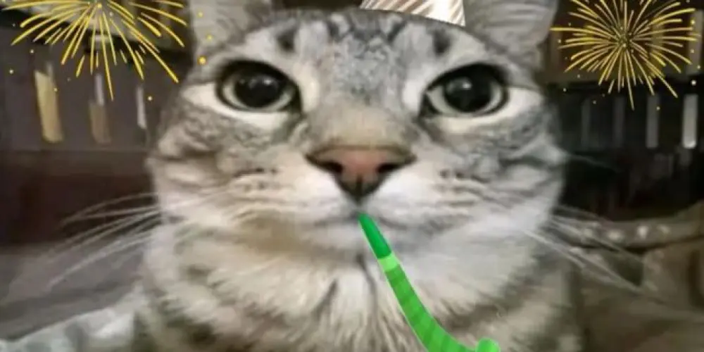 Imagem do grupo de WhatsApp 🌬️𝑺𝑶 𝑹𝑬𝑮𝑹𝑬𝑺𝑺𝑶🎊