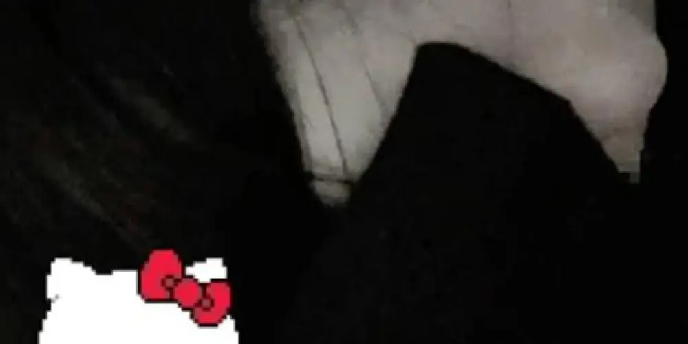 Imagem do grupo de WhatsApp 𝒁𝑬𝑹𝑶 𝑻𝑾𝑶