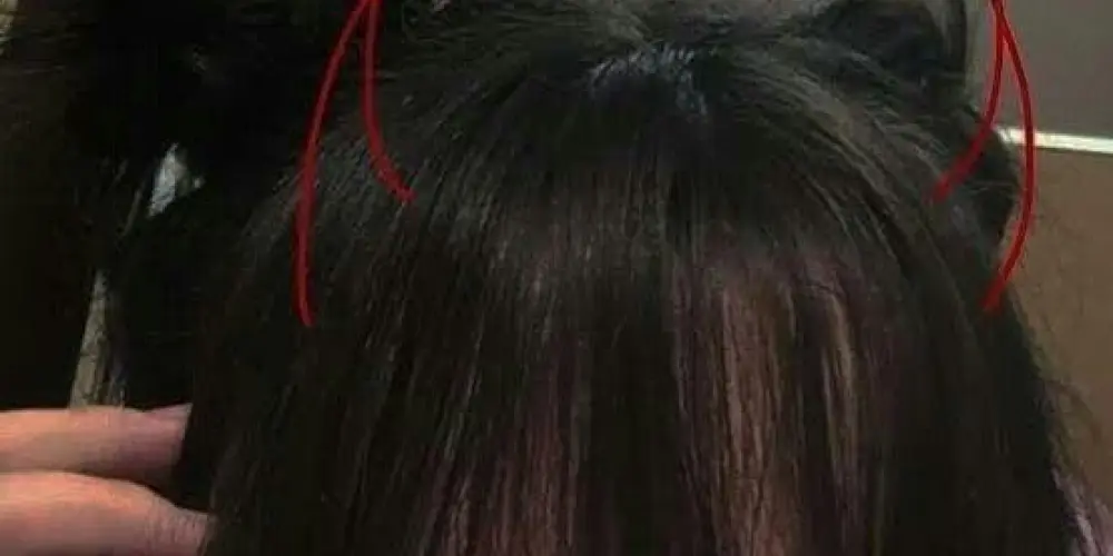 Imagem do grupo de WhatsApp 𝑺𝑬𝑳𝑬𝑻𝑰𝑽𝑬𝑺 𝑷𝑹𝑨 𝑮𝑼𝑰𝑳𝑫𝑨 𝑭𝑭