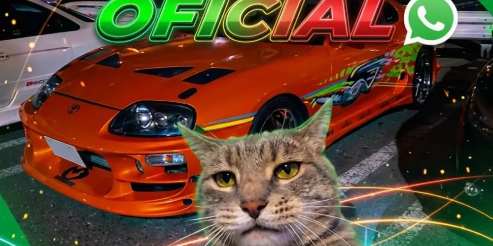 Imagem do grupo de WhatsApp 《𝑪𝑯𝑨𝑻》 《𝑩𝑹𝑨𝑺𝑰𝑳》 《𝑶𝑭𝑪》