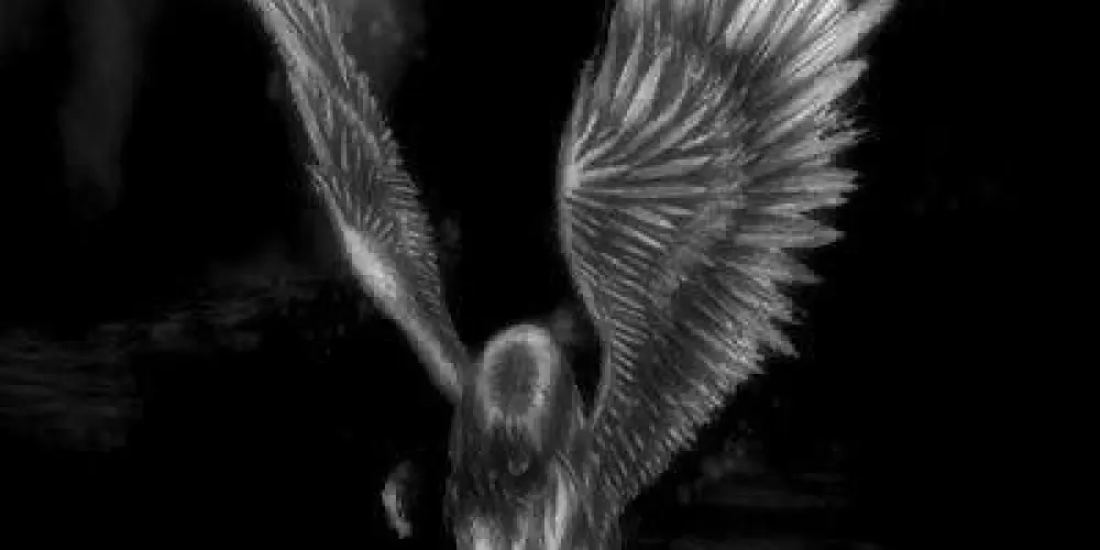 Imagem do grupo de WhatsApp 𝑆𝑊†𝑀ⁿᵃ ˡᵒᵘᶜᵘʳᵃ™|🪽