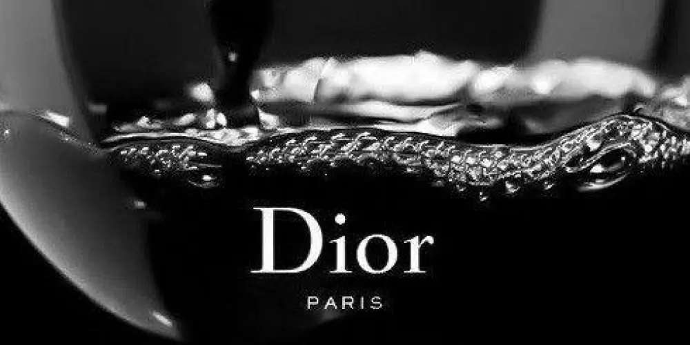 Imagem do grupo de WhatsApp 𝐄𝐋𝐄𝐍𝐂𝐎 𝐏𝐑𝐈𝐍𝐂𝐈𝐏𝐀𝐋 💥