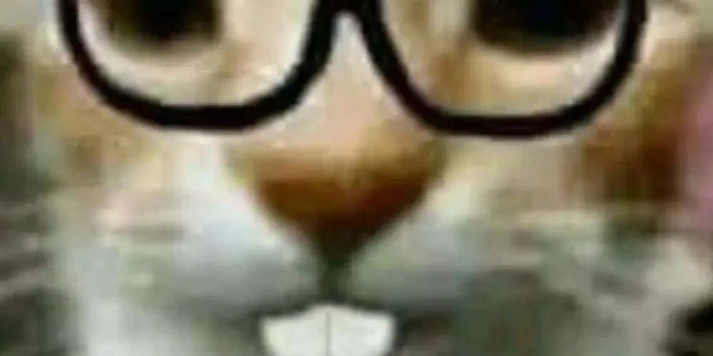 Imagem do grupo de WhatsApp 𝐀𝐮𝐭𝐢𝐬𝐭𝐚𝐬 𝐀𝐥𝐞𝐚𝐭𝐨𝐫𝐢𝐨𝐬🤓