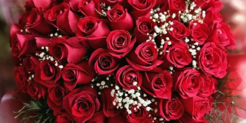 Imagem do grupo de WhatsApp 🌹𝕽𝖔𝖘𝖆 𝖉𝖊 𝕾𝖆𝖗𝖔𝖓 🌹