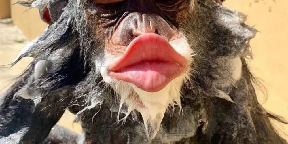 Imagem do grupo de WhatsApp • 𝕳𝖊𝖑𝖑'𝖘 𝖕𝖆𝖗𝖆𝖉𝖎𝖘𝖊🪽