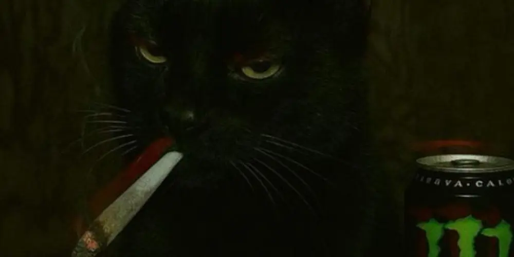 Imagem do grupo de WhatsApp 👑𝔄𝕄𝕀ℤ𝔄𝔇𝔈 & ℤ𝕆𝔈𝕀ℝ𝔄