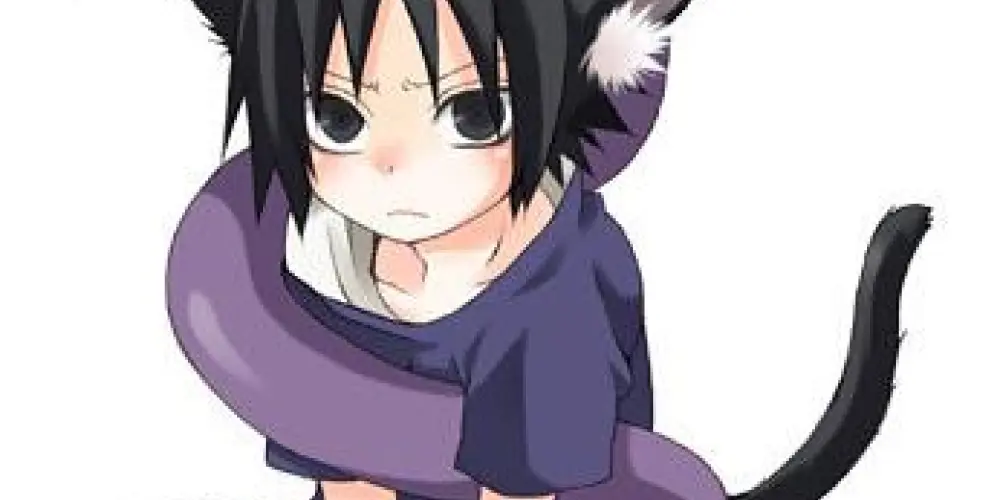 Imagem do grupo de WhatsApp ❄『𝐅𝐨𝐟𝐨𝐪𝐮𝐞𝐞𝐢』❄