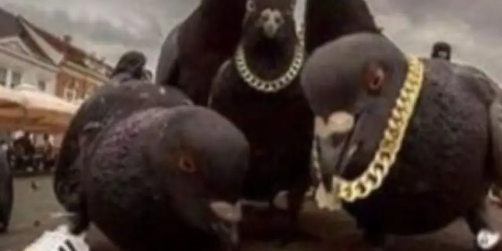 Imagem do grupo de WhatsApp 𝕴𝖑𝖑𝖚𝖒𝖎𝖓𝖆𝖙𝖎𝖔𝖓 𝕯𝖔 𝕮𝖆𝖔𝖘 😝✌🏽