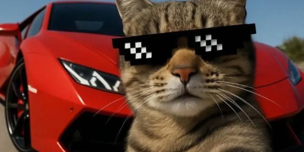 Imagem do grupo de WhatsApp ⓉⒽⒺ ⒽⓄⓈⓅⒾⒸⒺ