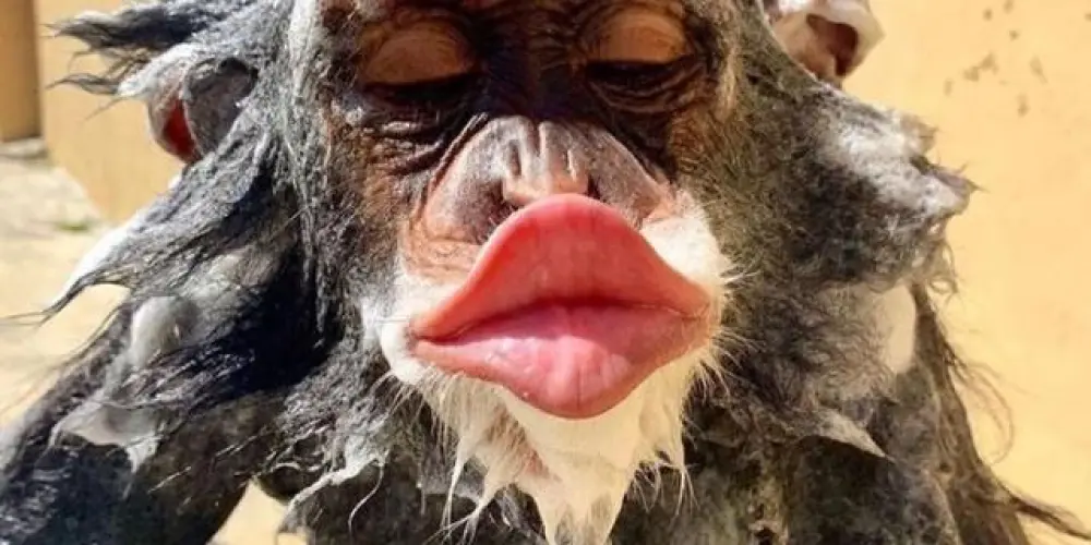 Imagem do grupo de WhatsApp • 𝕳𝖊𝖑𝖑'𝖘 𝖕𝖆𝖗𝖆𝖉𝖎𝖘𝖊🪽