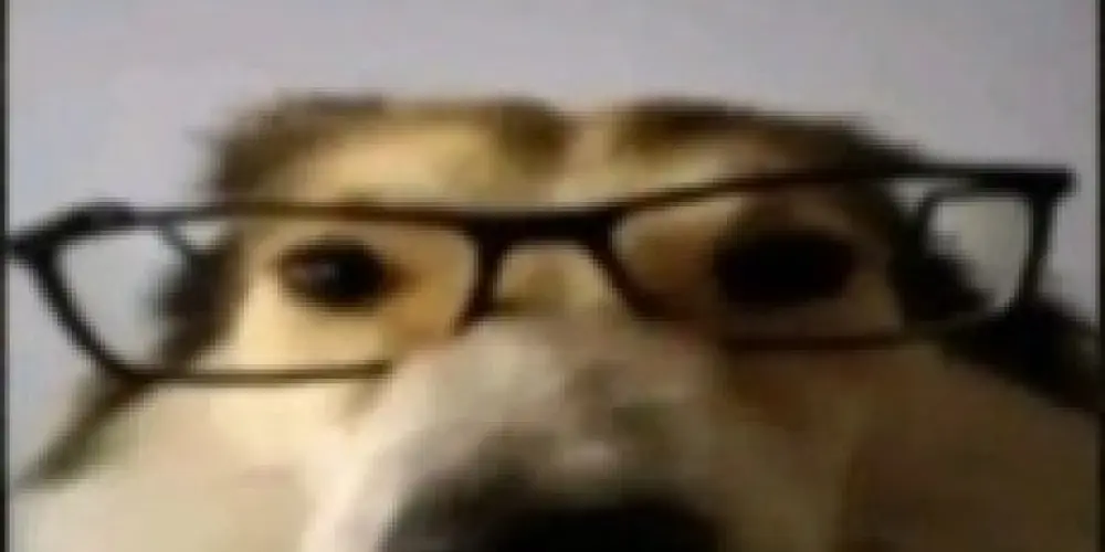 Imagem do grupo de WhatsApp 🔥 𝖍𝖔𝖘𝖕𝖎𝖈𝖎𝖔 𝖉𝖆 𝖜𝖊𝖇 ☠️