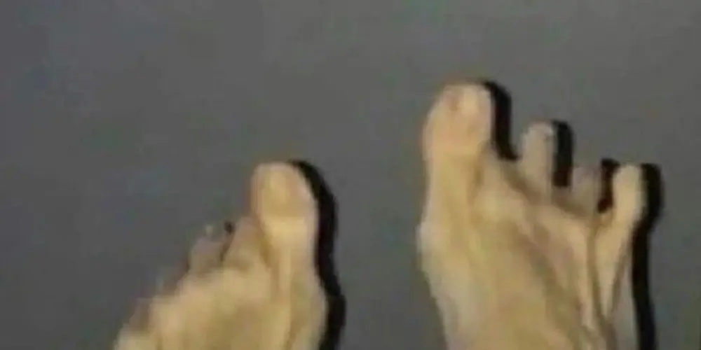 Imagem do grupo de WhatsApp 𝕷𝖆𝖘𝖙 𝕯𝖆𝖞 (ง'̀-'́)ง