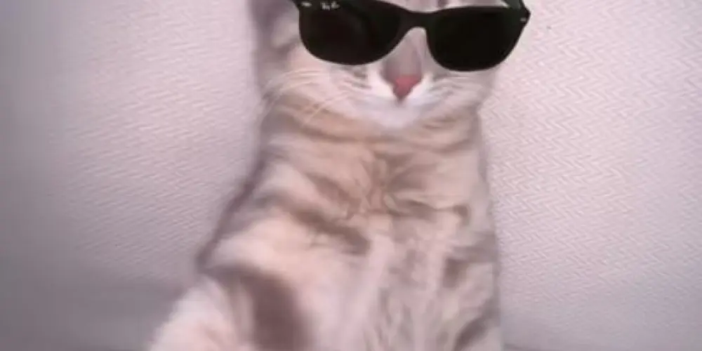 Imagem do grupo de WhatsApp ´`𝘖𝘴 𝘙𝘦𝘴𝘦𝘯𝘩𝘶𝘥𝘶𝘴ˢ⋅ᴹ🦇👻😈