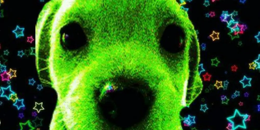 Imagem do grupo de WhatsApp 𝐓𝐞𝐫𝐫𝐚 𝐒𝐞𝐦 𝐋𝐞𝐢  ( 𝐌𝐚𝐬 𝐂𝐨𝐦 𝐆𝐞𝐫𝐞𝐧𝐜𝐢𝐚) #𝐀𝐙 🇦🇱