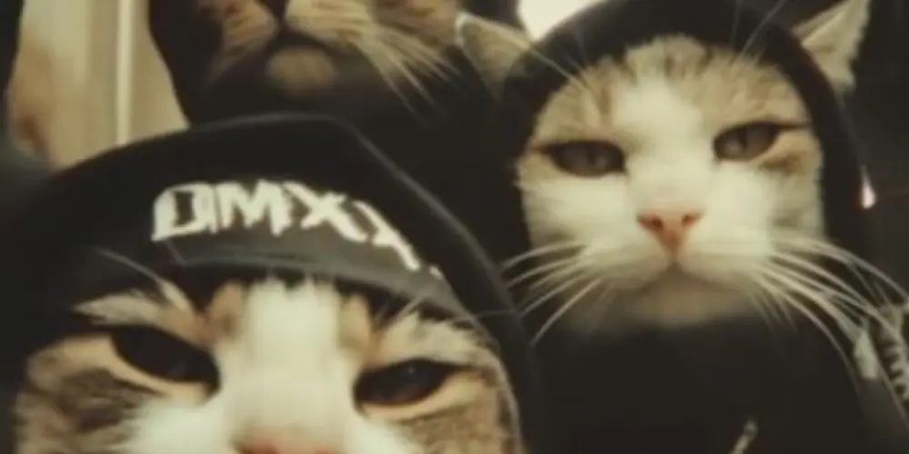 Imagem do grupo de WhatsApp 𝐒𝐨𝐜𝐢𝐚𝐥 𝐄𝐧𝐭𝐫𝐨𝐩𝐲