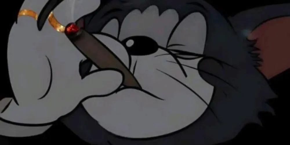 Imagem do grupo de WhatsApp 𝐒𝐀𝐆𝐀𝐂𝐈𝐓𝐘💯