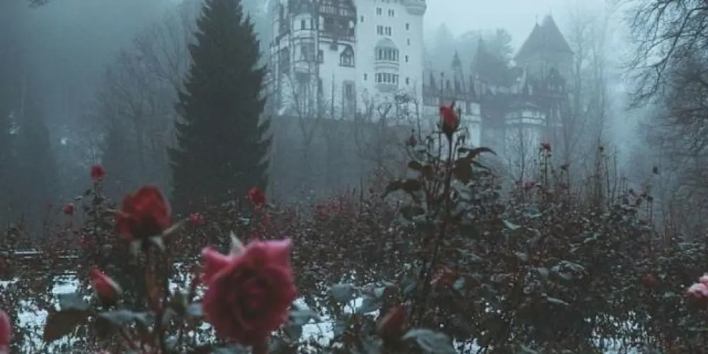 Imagem do grupo de WhatsApp ༆༄𝑁𝑜𝑠𝑠𝑜 𝑅𝑒𝑖𝑛𝑜࿐