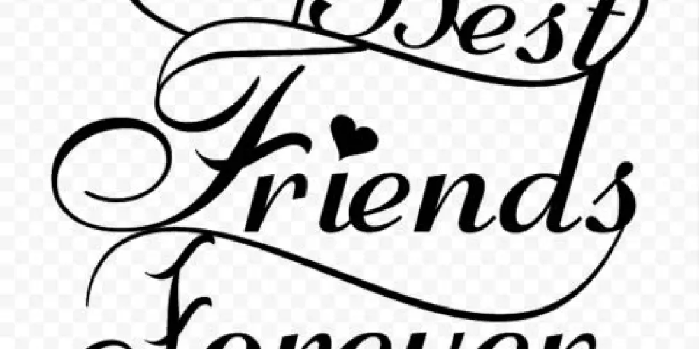 Imagem do grupo de WhatsApp 𝙼𝚎𝚕𝚑𝚘𝚛𝚎𝚜 𝚊𝚖𝚒𝚐𝚘𝚜