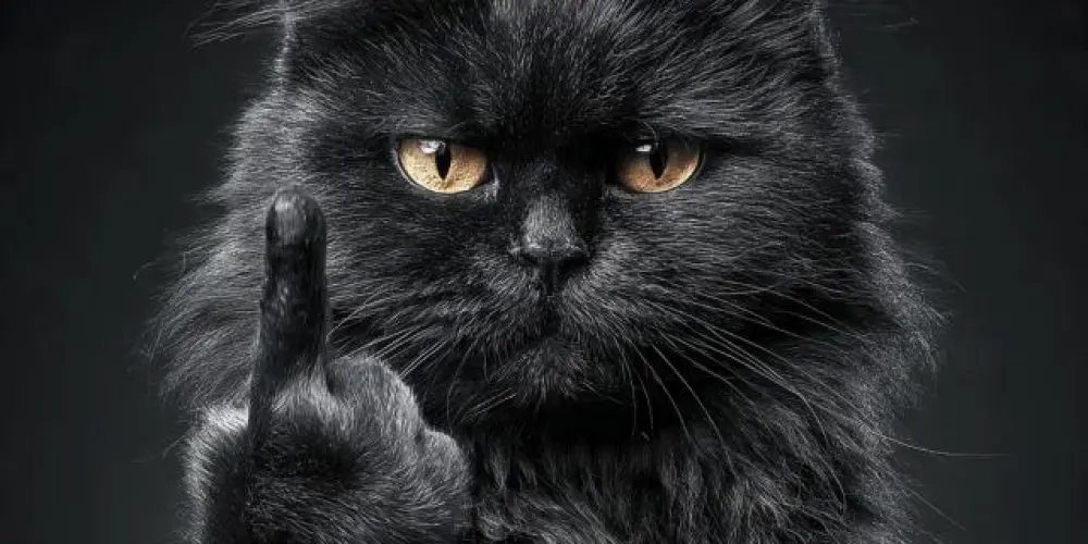 Imagem do grupo de WhatsApp 爪卂匚卂匚ㄖ丂 丂乇爪 卂ㄩㄒ丨丂爪ㄖ