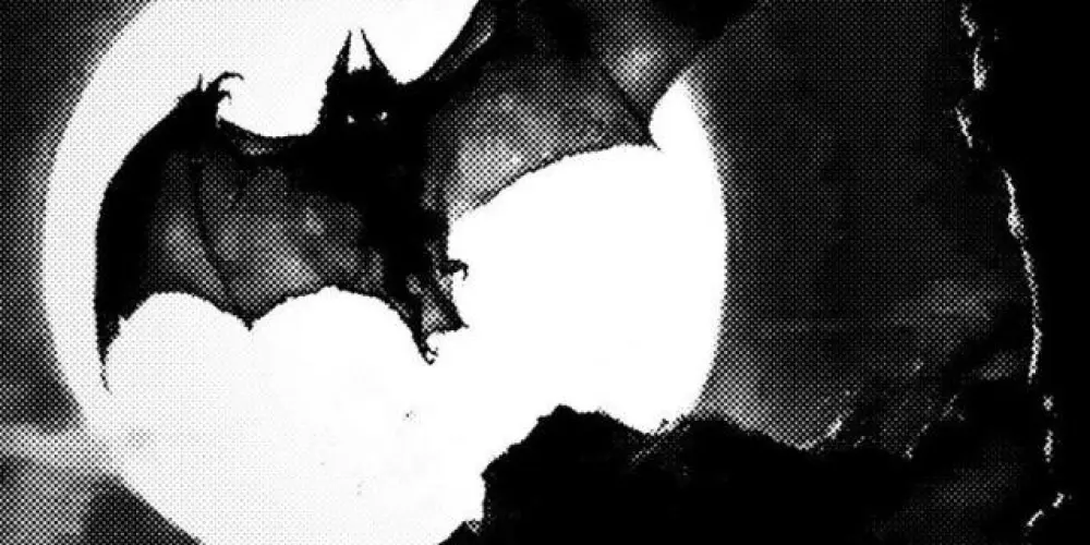 Imagem do grupo de WhatsApp 🦇— 𝕮𝖔𝖛𝖎𝖑