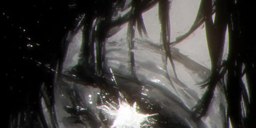 Imagem do grupo de WhatsApp 𓆩 𝚂𝚒𝚕𝚎𝚗𝚝 𝙽𝚘𝚝𝚎 𓆪.