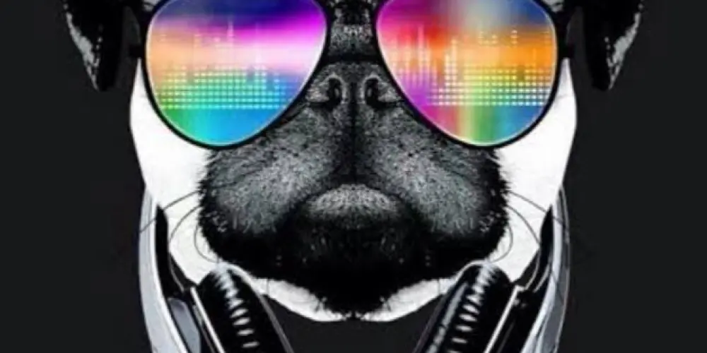 Imagem do grupo de WhatsApp 𝕿𝖗𝖔𝖕𝖆_𝖉𝖆_𝖗𝖊𝖘𝖊𝖓𝖍𝖆