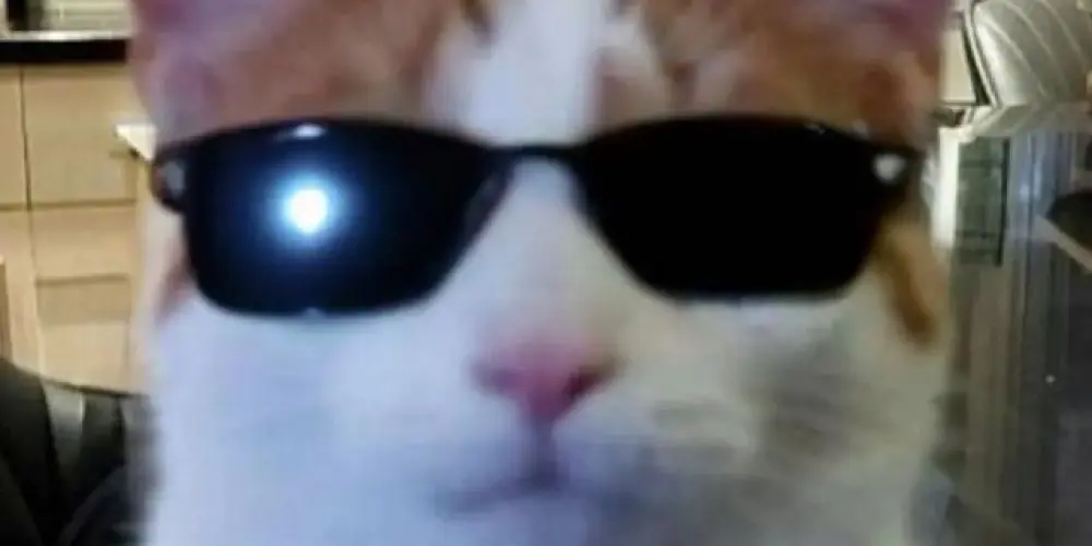 Imagem do grupo de WhatsApp 𝗘𝘁𝗲𝗿𝗻𝗮 𝗥𝗲𝘀𝗲𝗻𝗵𝗮