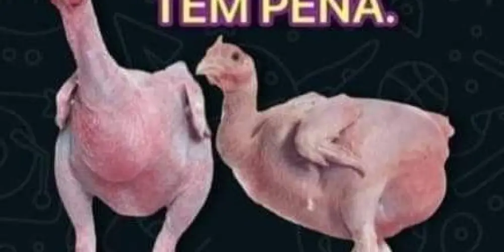 Imagem do grupo de WhatsApp ★彡 𝙃𝙊𝙎𝙋𝙄́𝘾𝙄𝙊 𝘿𝙊𝙎 𝙎𝙀𝙈 𝙇𝙄𝙈𝙄𝙏𝙀𝙎 彡★